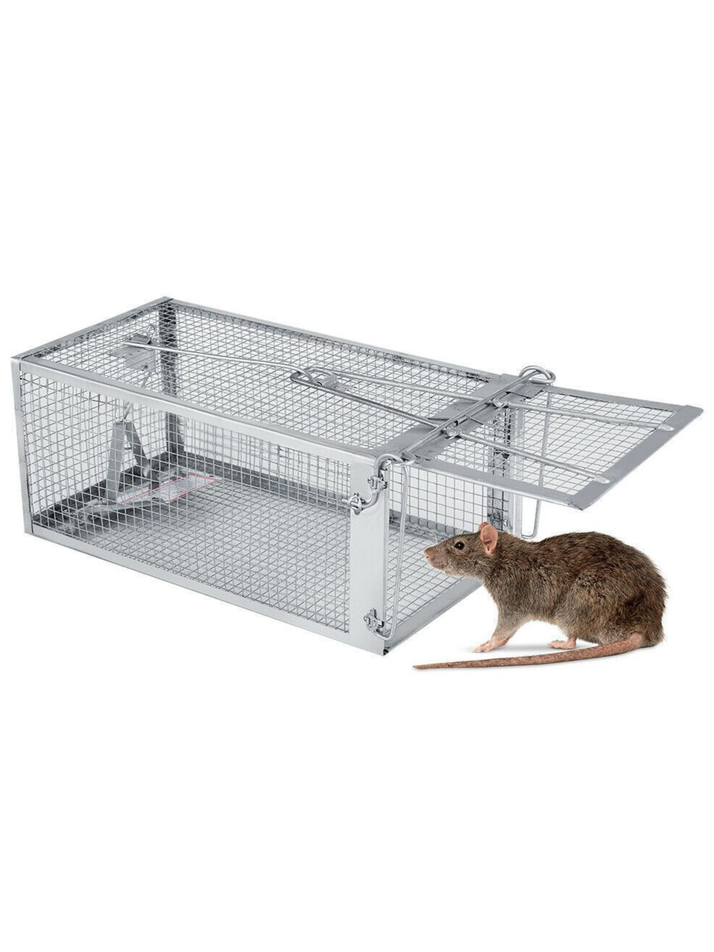 Trampa Para Raton